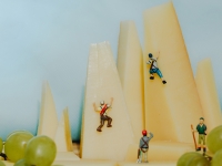 Cup2-0014