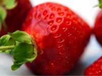 Ewald_Berdan_4_Erdbeere