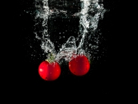 Harald Meindl Tomaten im Wasser