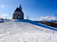 Förster008