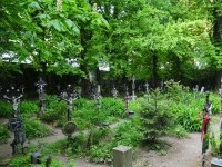 Förster025