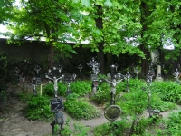 Förster026
