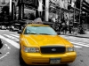 Ing. Rene Spanring - Yellow Cab