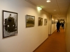 Ausstellung in der SVA der Bauern 2012