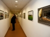 Ausstellung in der SVA der Bauern 2012