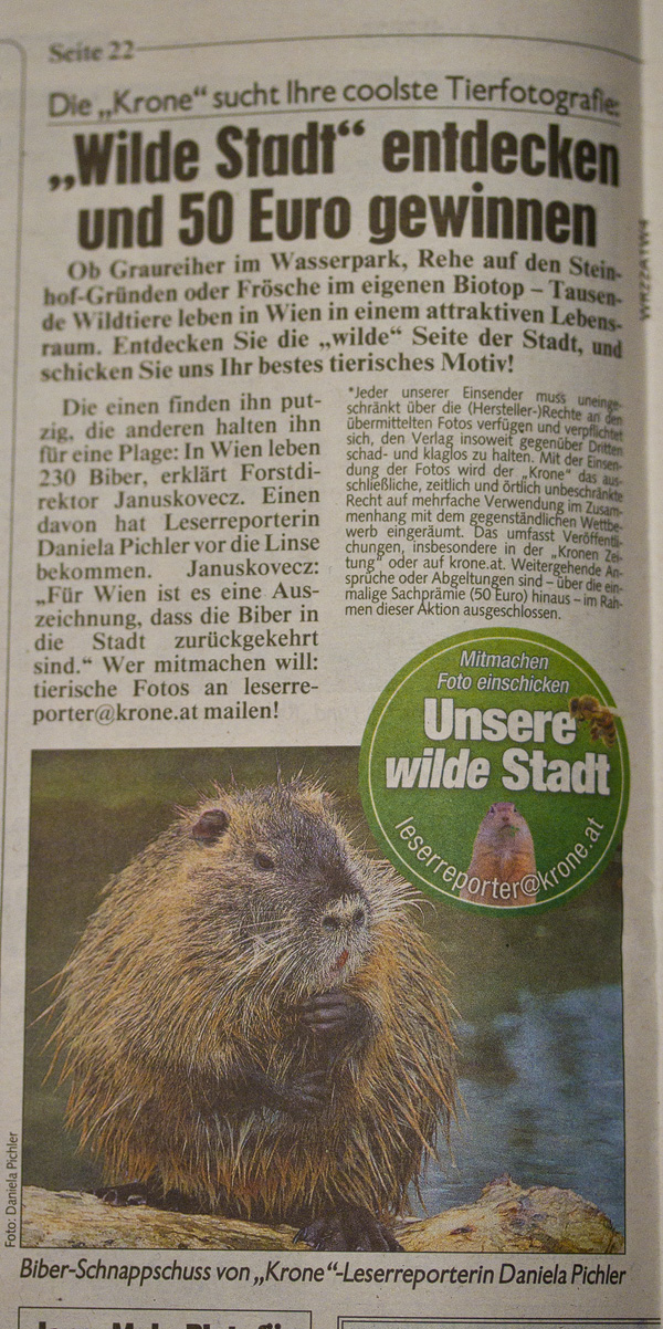 Daniela Pichler Kronenzeitung