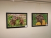Ausstellung 002