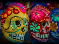 Facco-D?a de Muertos