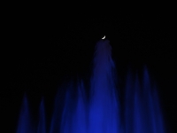 Cup 2_012