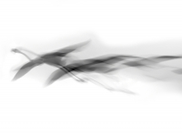 joh Windschatten
