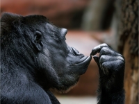 Prager Zoo