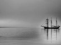 Spitzbergen-14